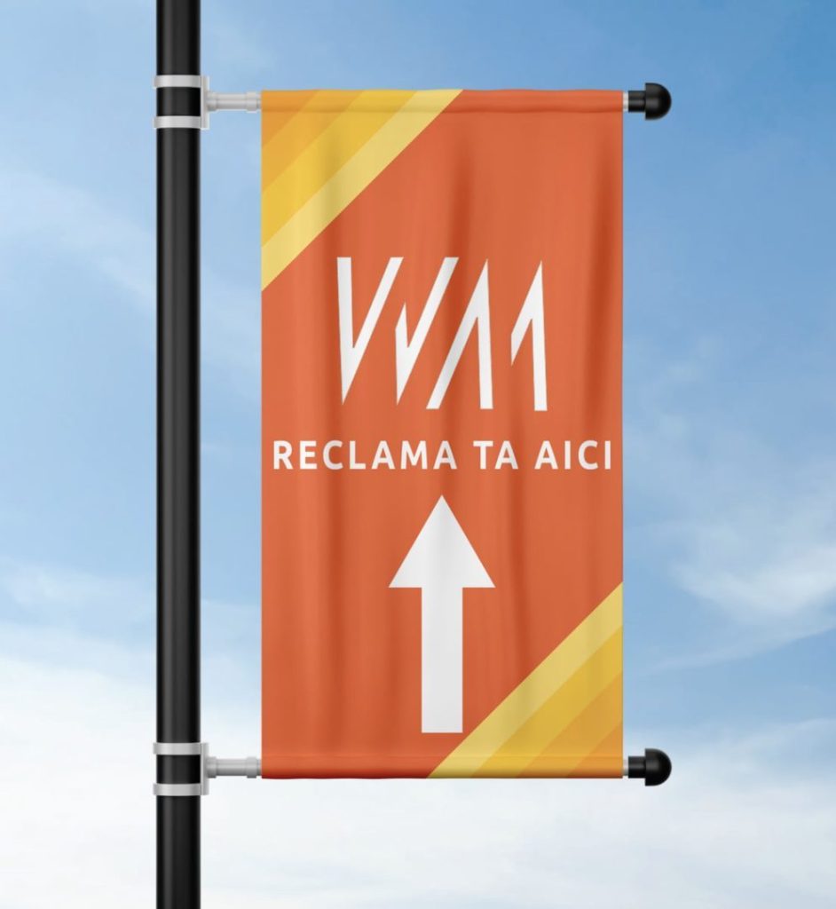 Antoanela Vasilescu și steaguri publicitare ilegale montate prin Way Advertise Production