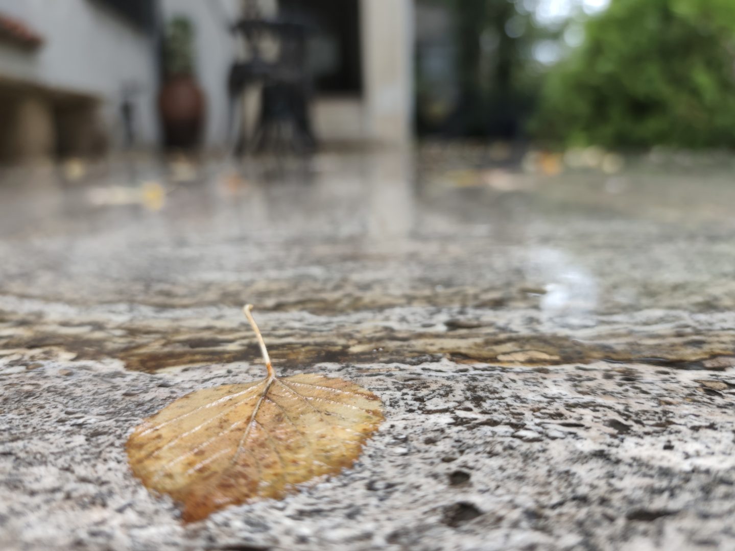 Art. History. Experience. – Eleganță și rafinament în cigar lounge București interbelic